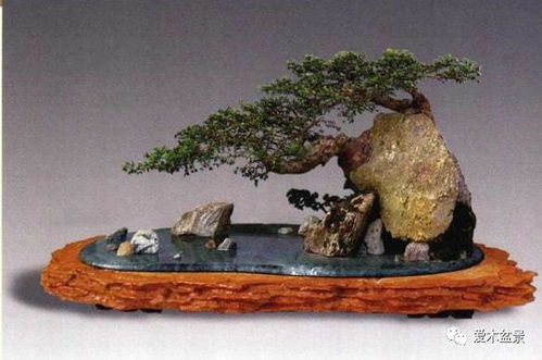 水泥構件在樹石盆景中的創新藝術表現